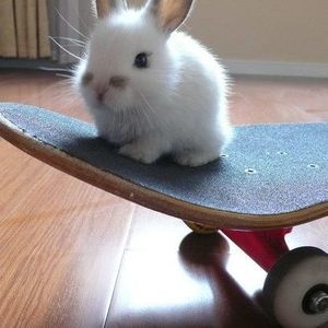 Meet your Posher, Linda